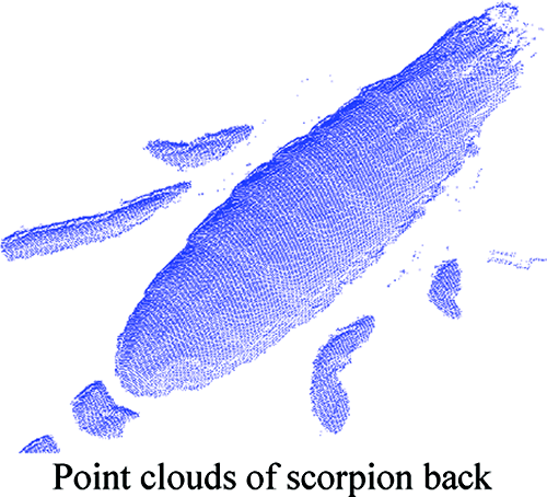 Point Cloud of Scorpion's Back