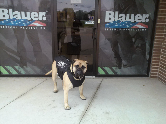 bella in armor express vest at clinton township store